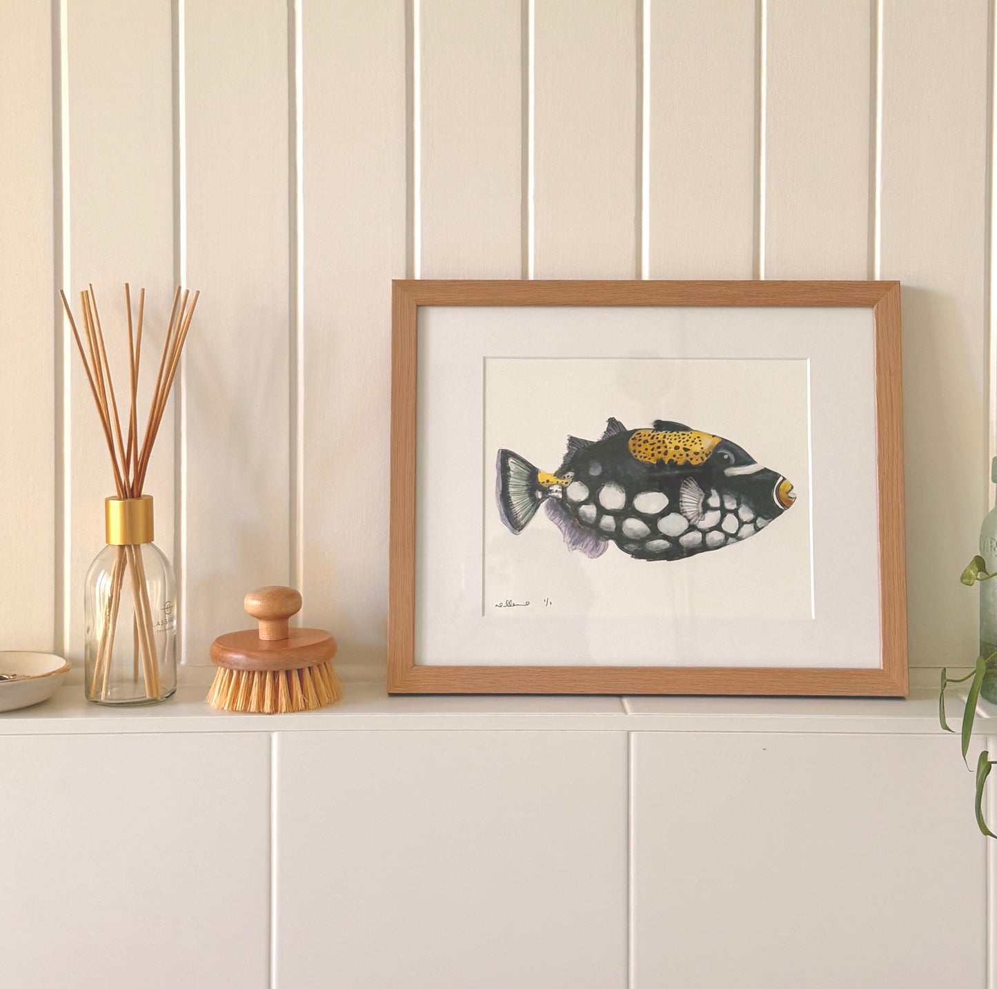 One-of-a-kind // Triggerfish