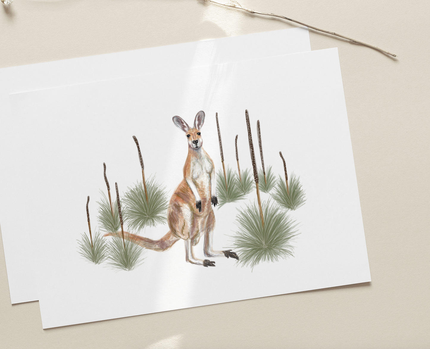 Kangaroo & Grass Plants - Fine Art Print