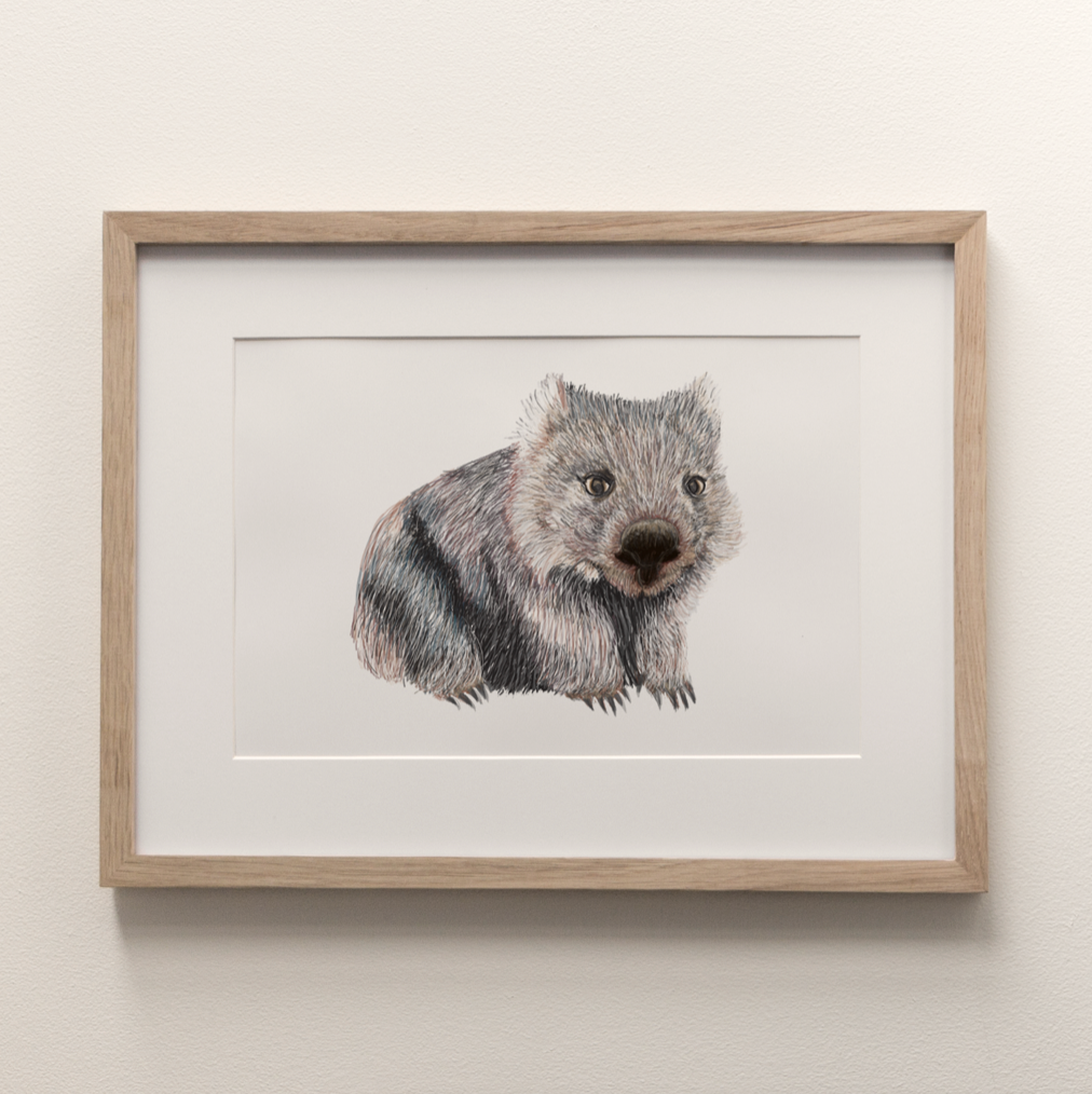 Wombat - Fine Art Print