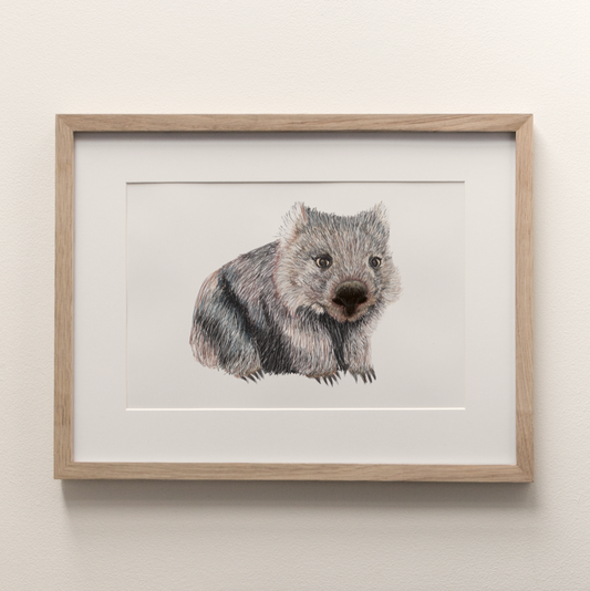 Wombat - Fine Art Print