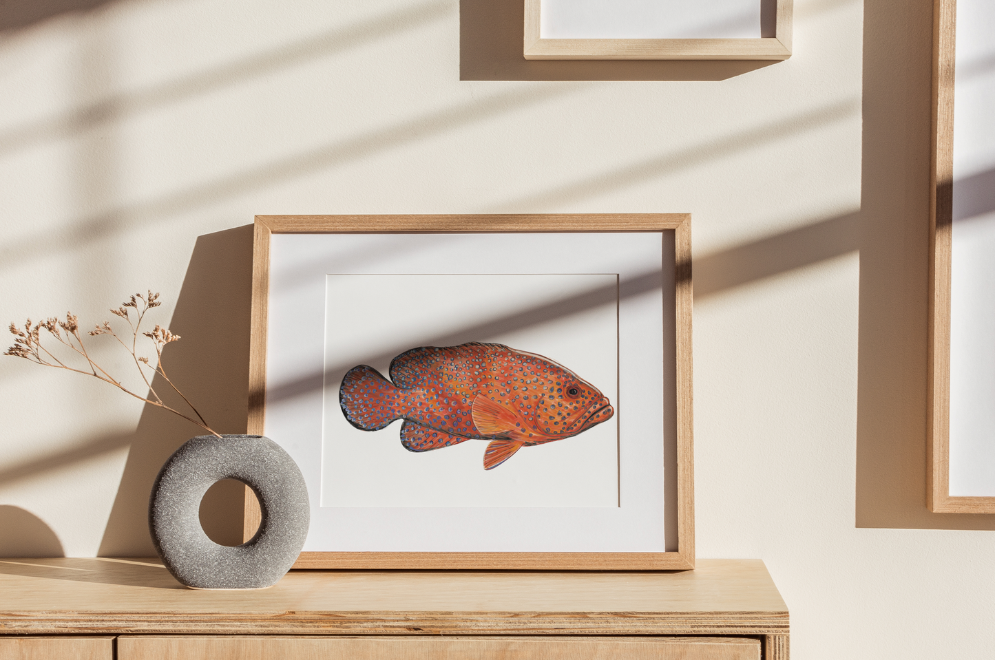 Coral Cod - Fine Art Print