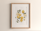 Lemon's - Fine Art Print