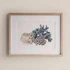 Coral Cluster - Fine Art Print
