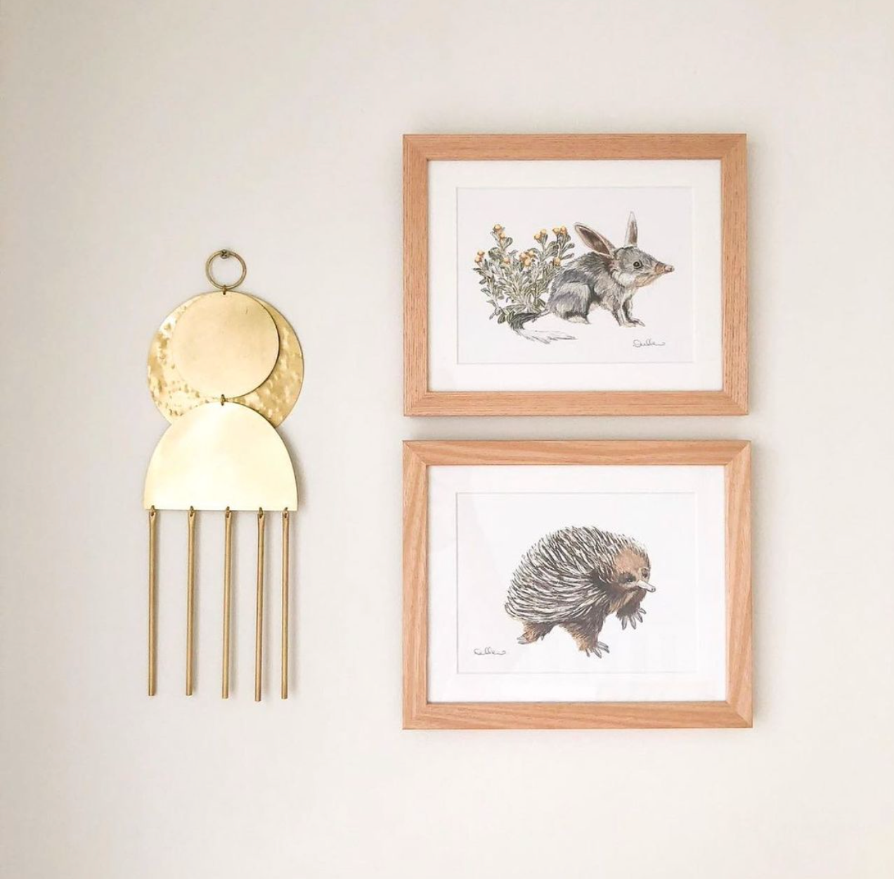 Bilby - Fine Art Print