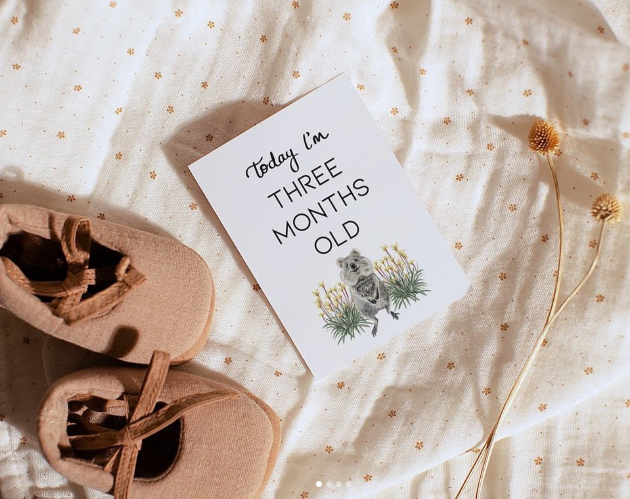 Baby Milestone Cards