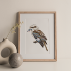 Kookaburra - Fine Art Print