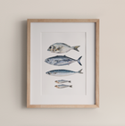 Fish - Fine Art Print