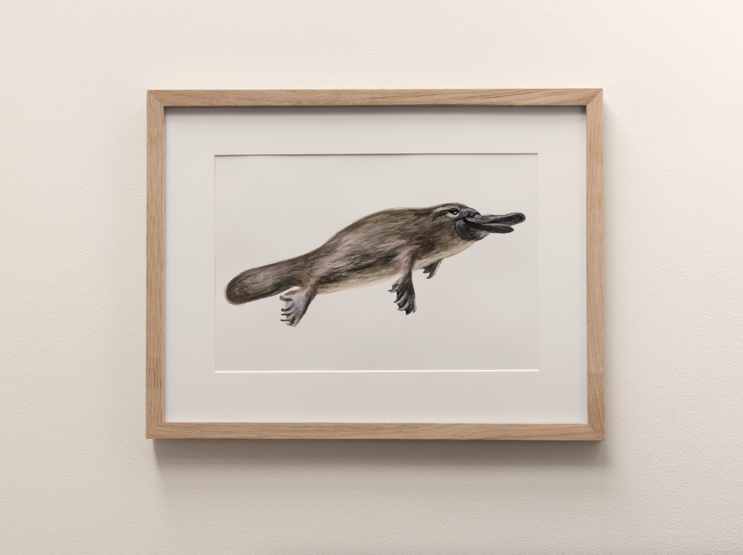 Platypus - Fine Art Print