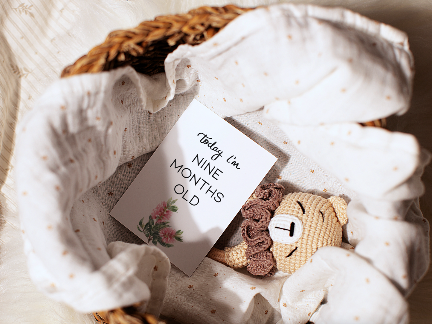 Baby Milestone Cards