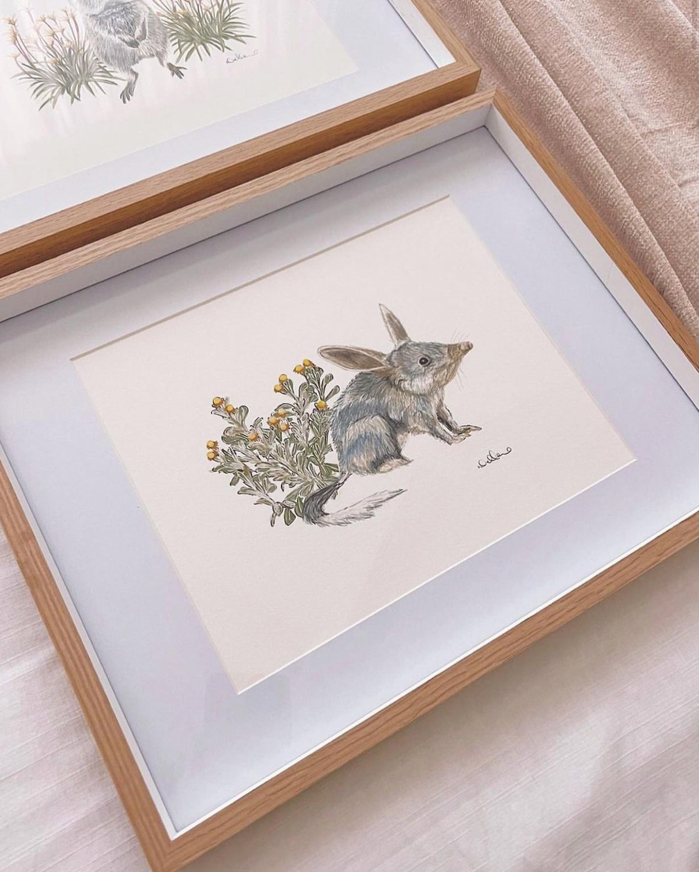 Bilby - Fine Art Print