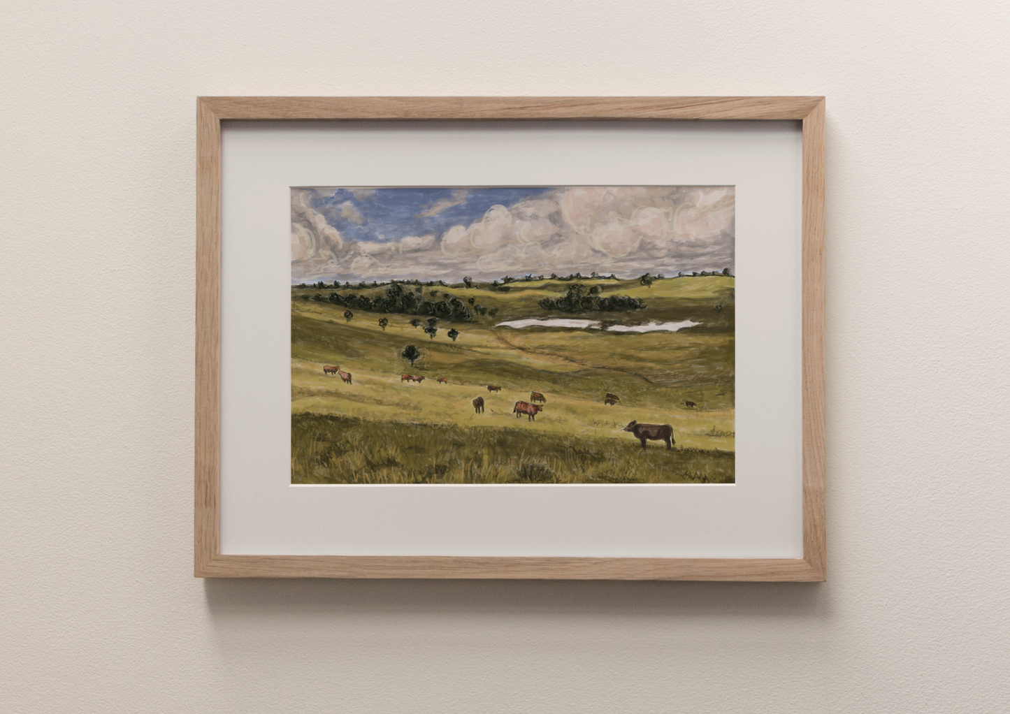 Cattle Grazing - Fine Art Print