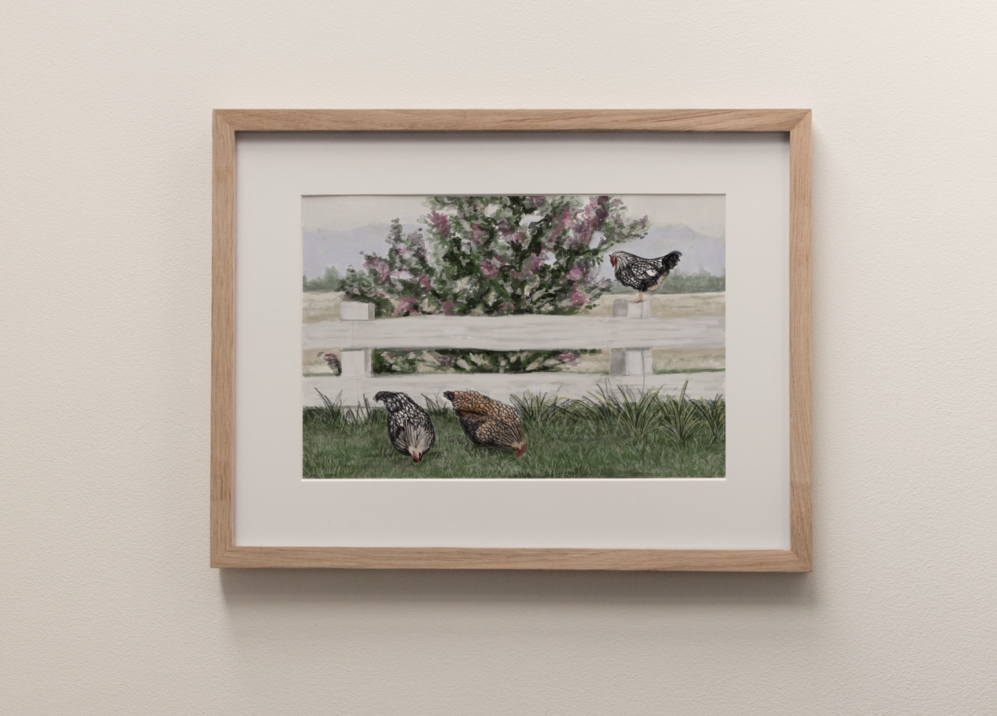 Chooks - Fine Art Print