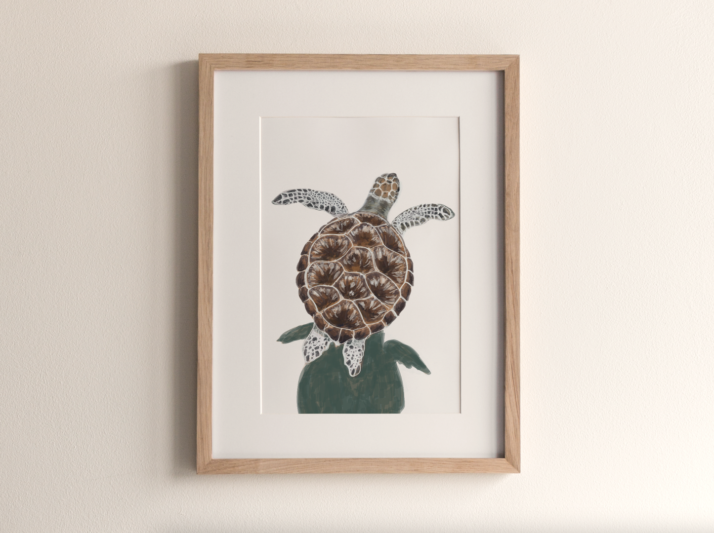 Turtle - Fine Art Print