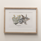 Bilby - Fine Art Print