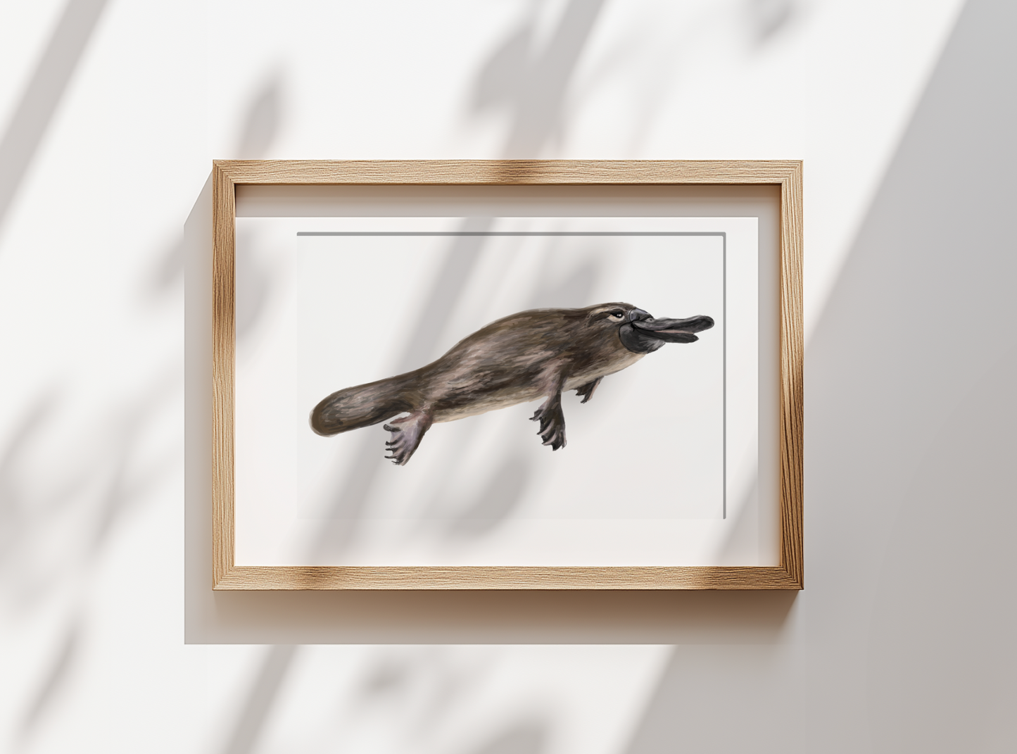 Platypus - Fine Art Print