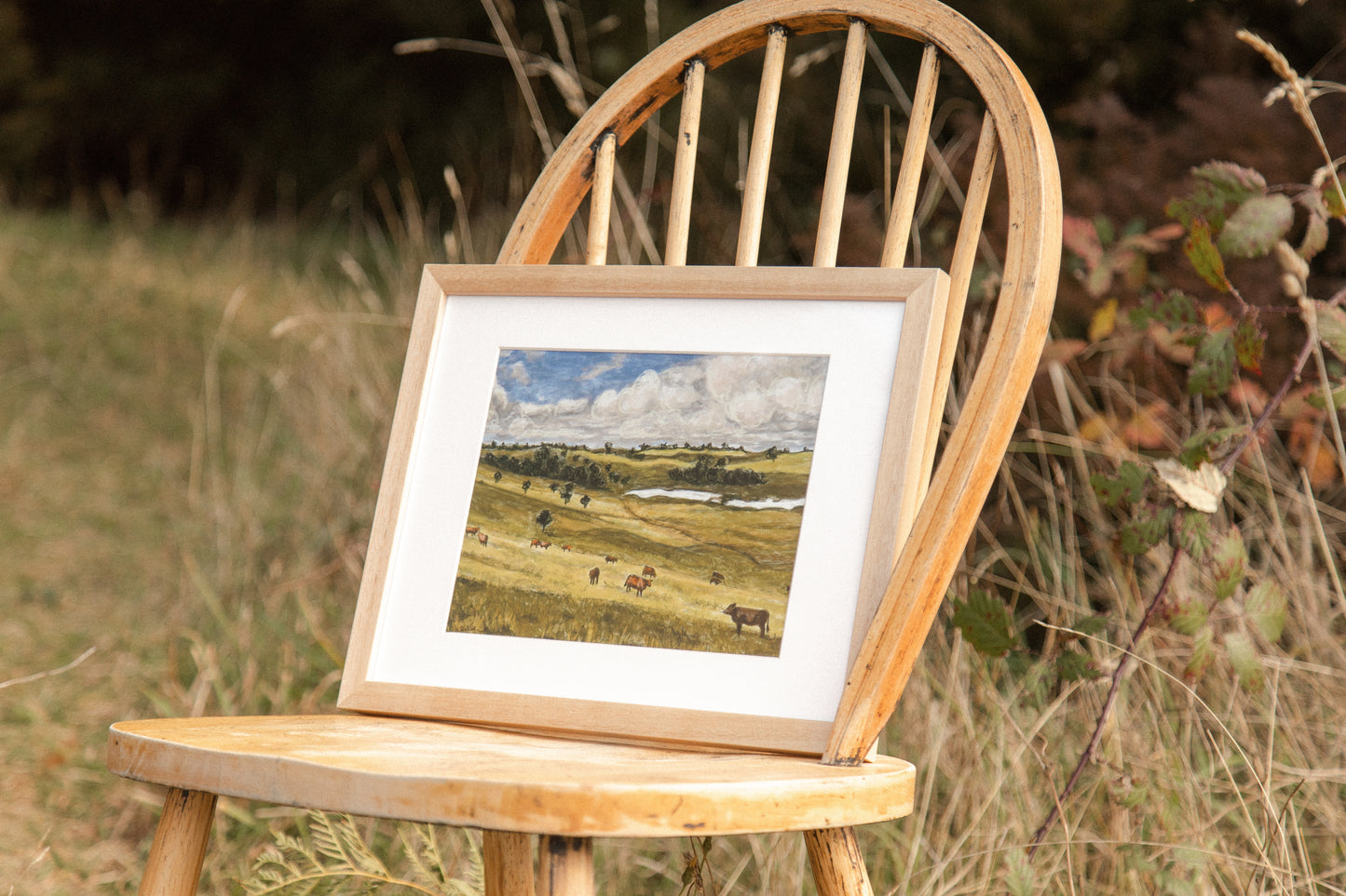 Cattle Grazing - Fine Art Print