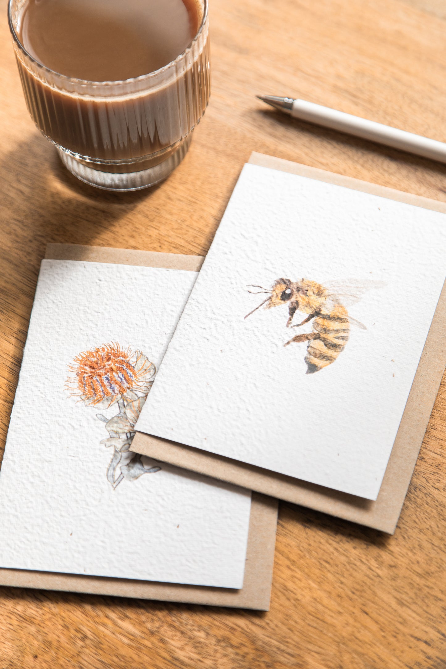 Seeded Card // Banksia Coccinea