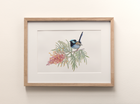Grevillea & Wren - Fine Art Print