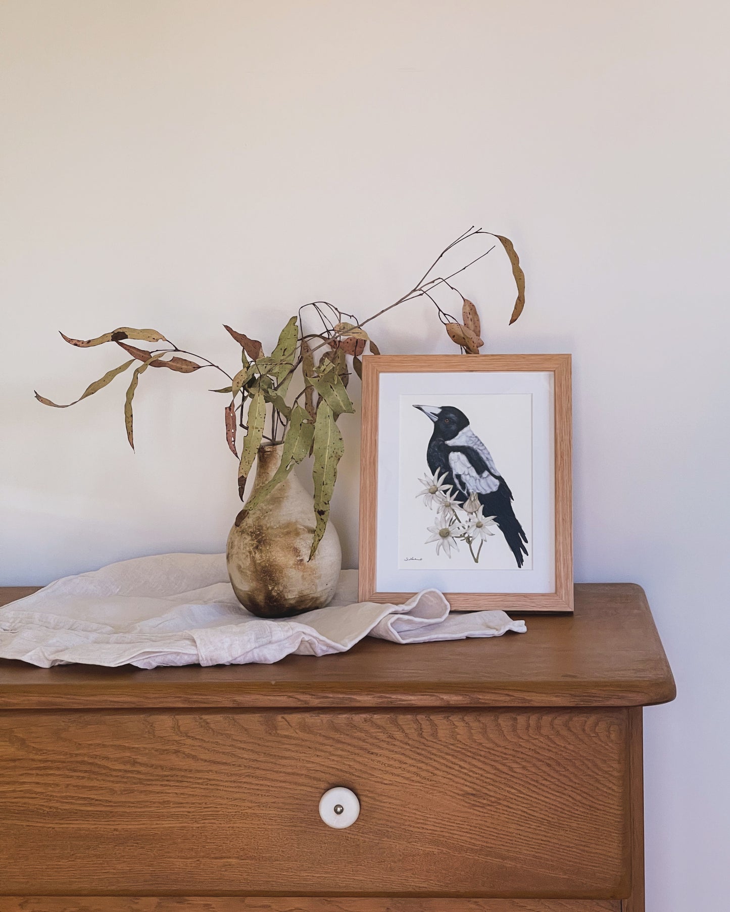 Magpie & Flannel Flower - Fine Art Print