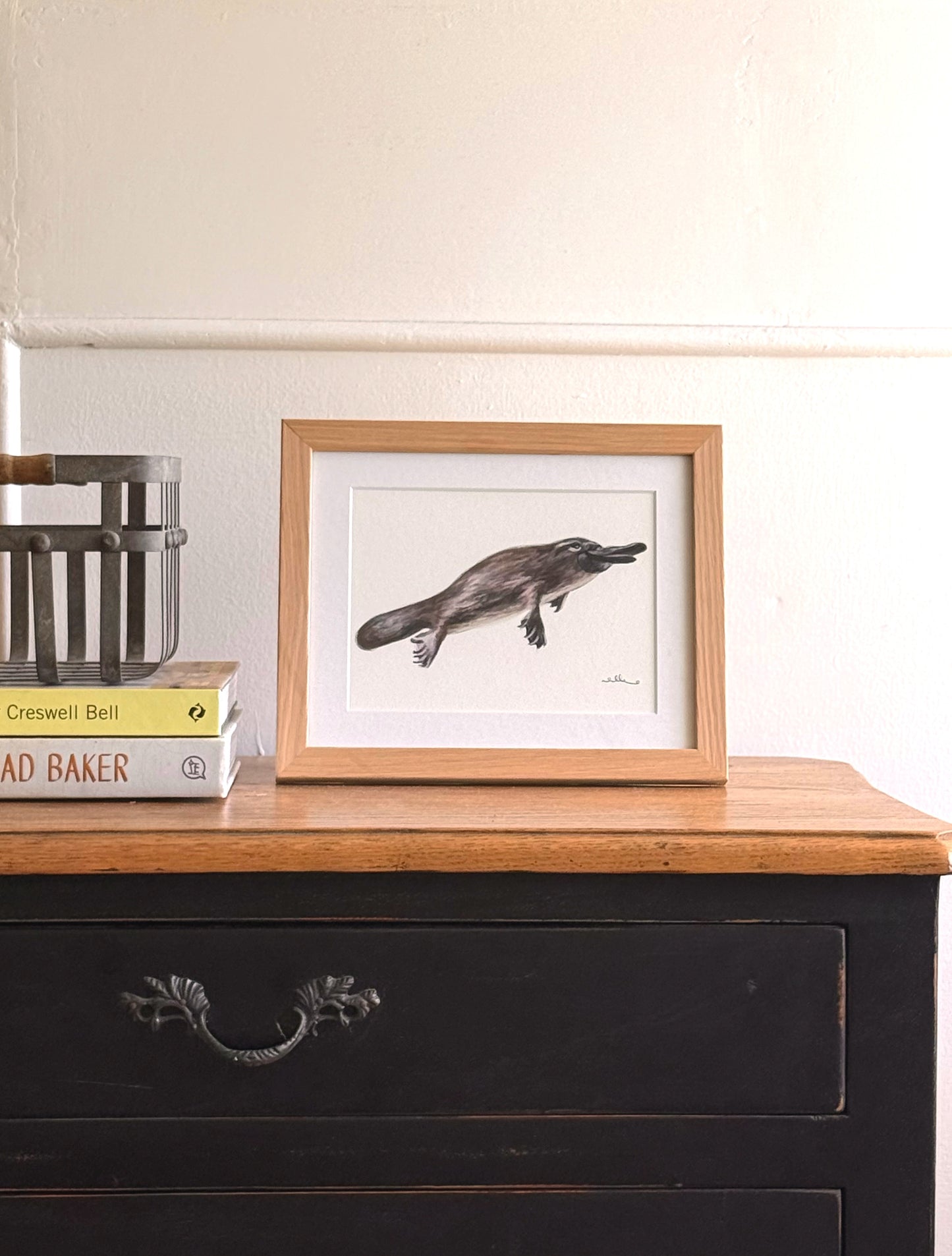 Platypus - Fine Art Print