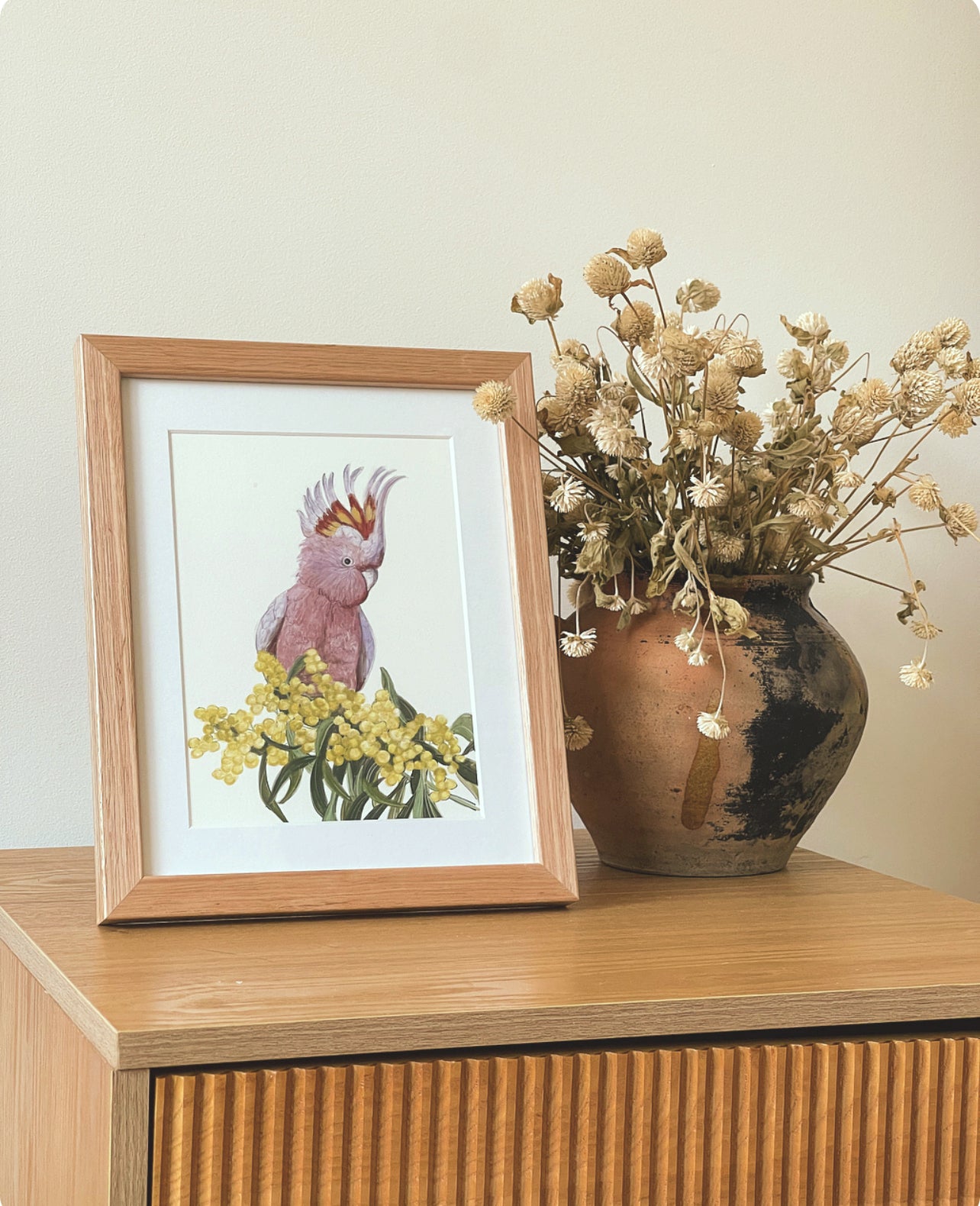 Major Mitchel Cockatoo - Fine Art Print