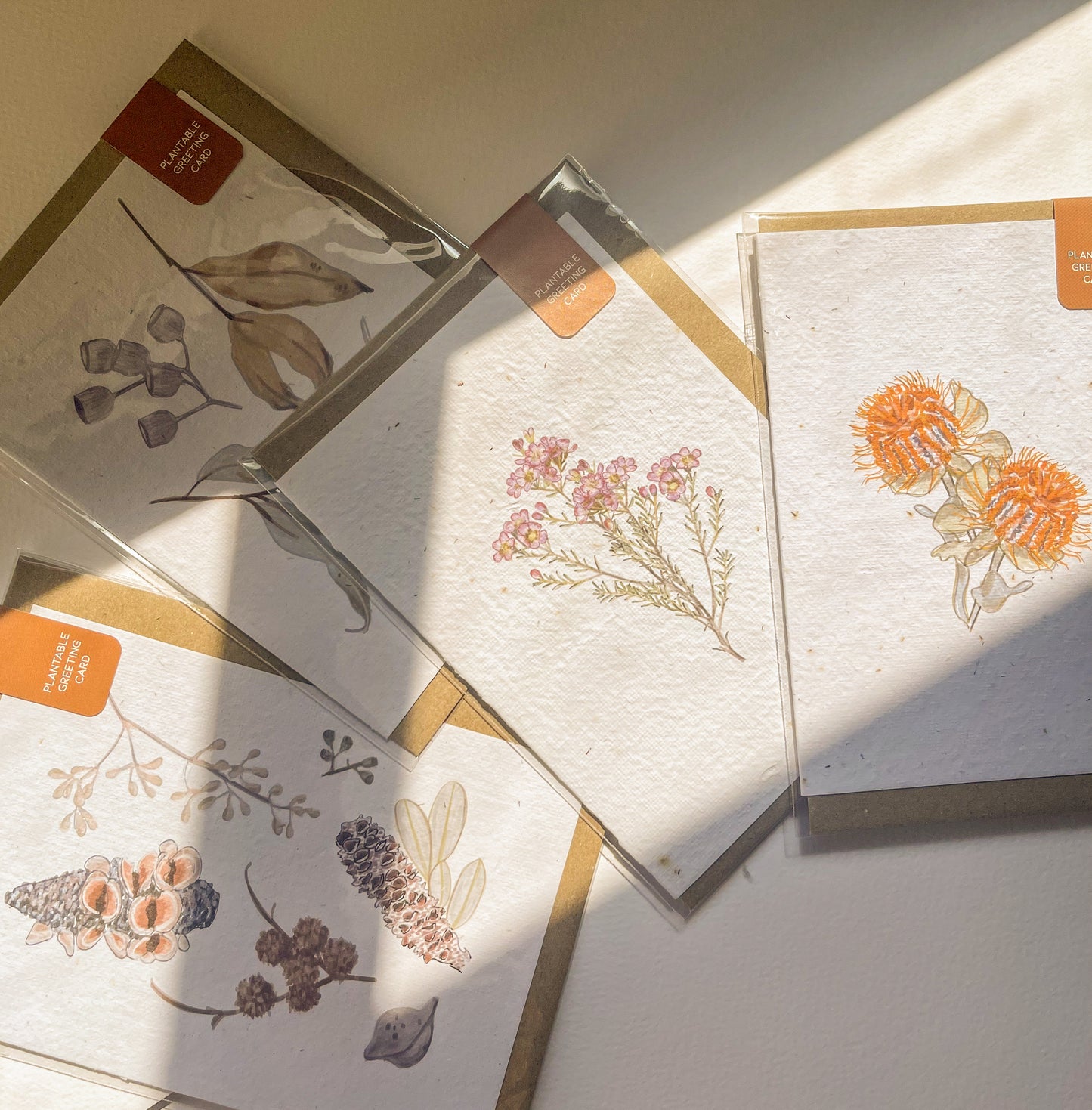 Seeded Card // Banksia Coccinea