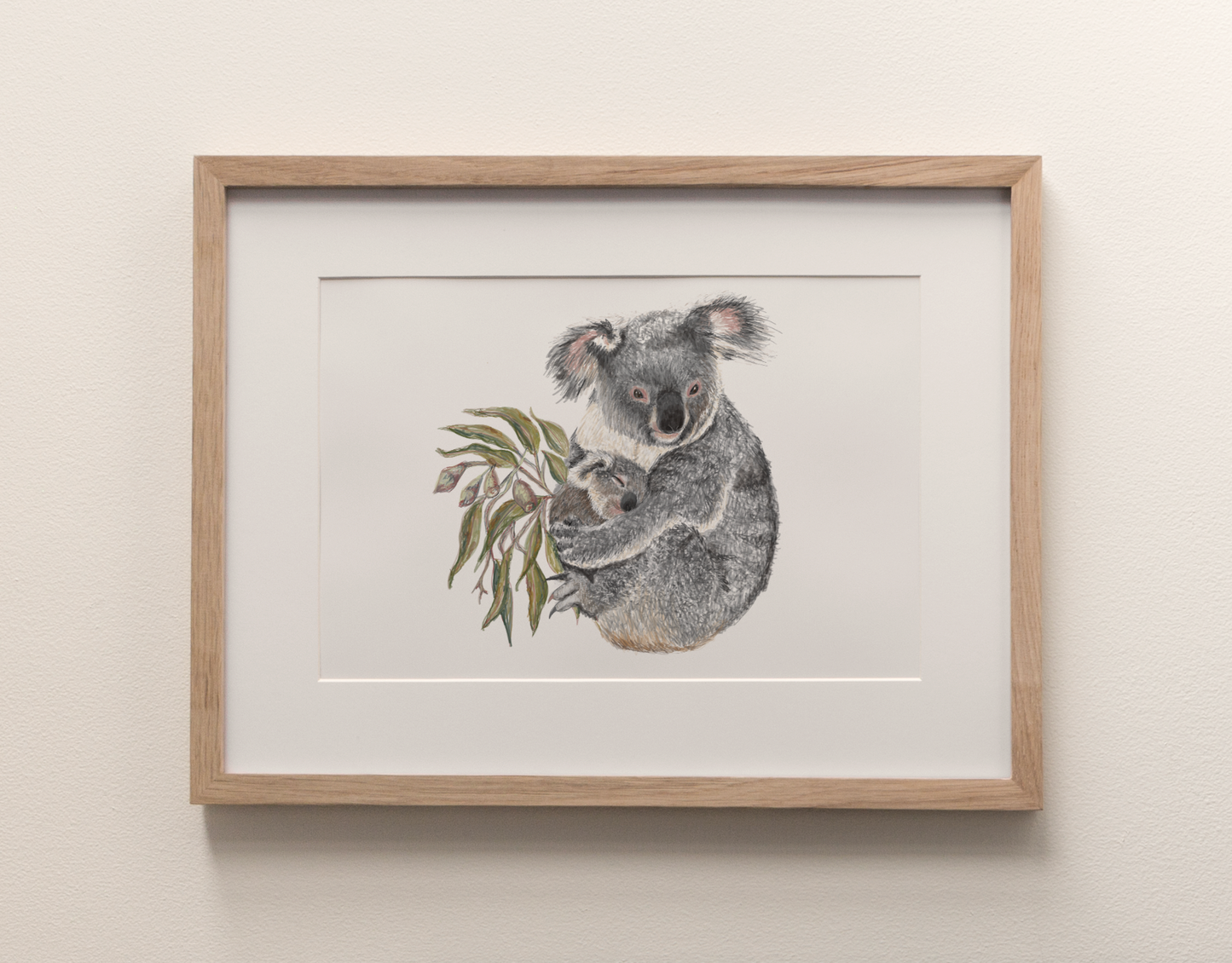 Koala - Fine Art Print