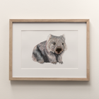 Wombat - Fine Art Print