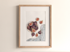Figs - Fine Art Print