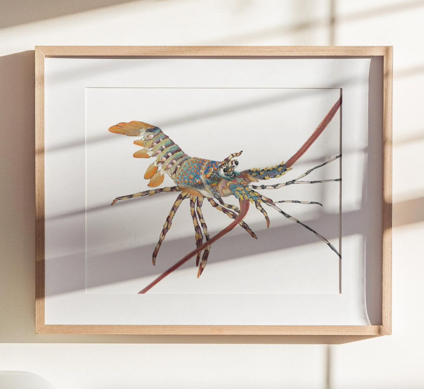Painted Crayfish - Fine Art Print