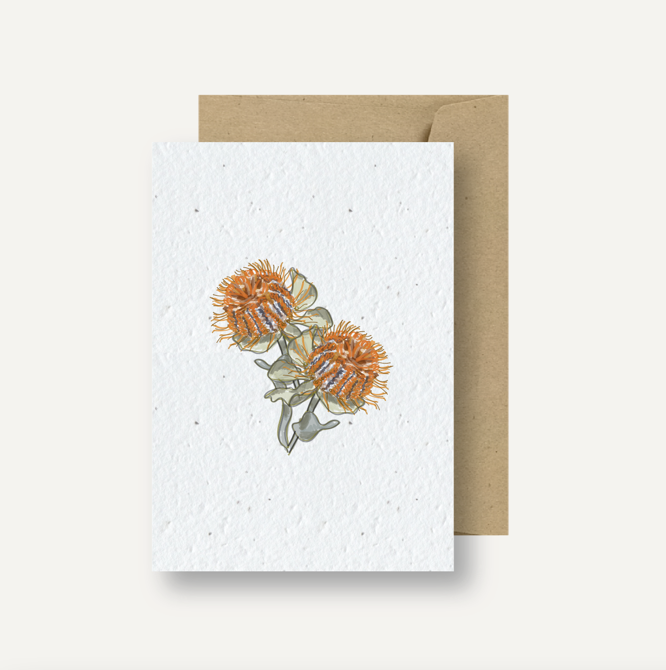 Seeded Card // Banksia Coccinea