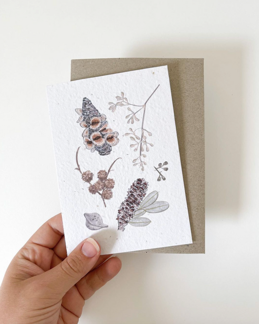 Seeded Card // Seed Pods