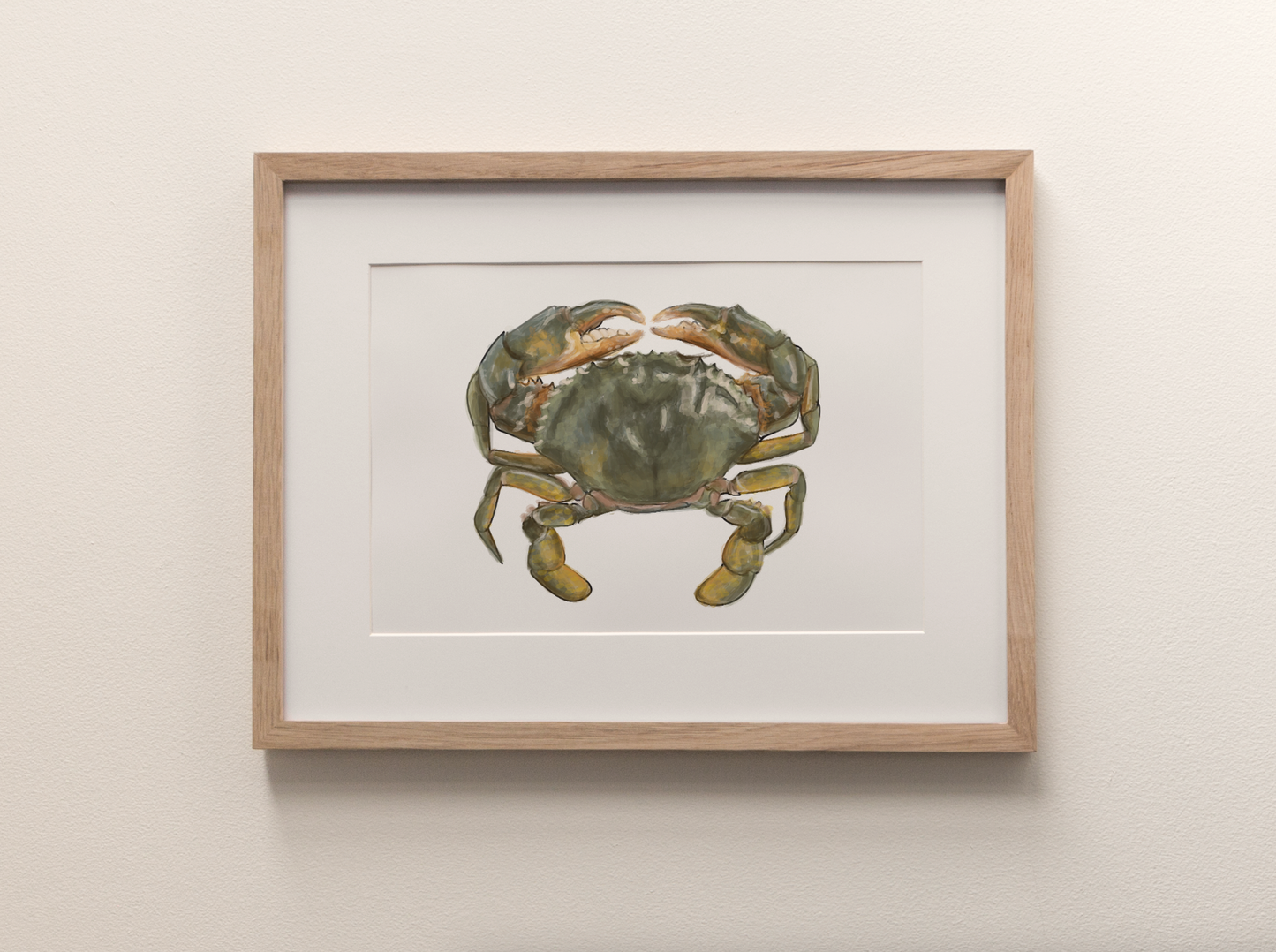 Mud Crab - Fine Art Print