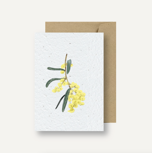 Seeded Card // Wattle