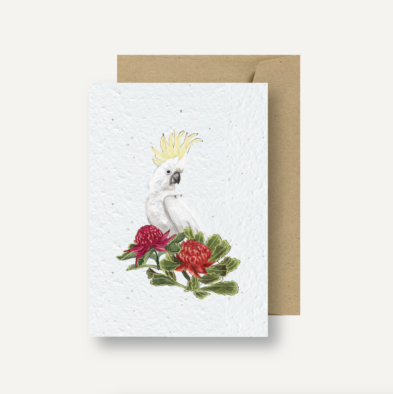 Seeded Card // Cockatoo & Warahtahs