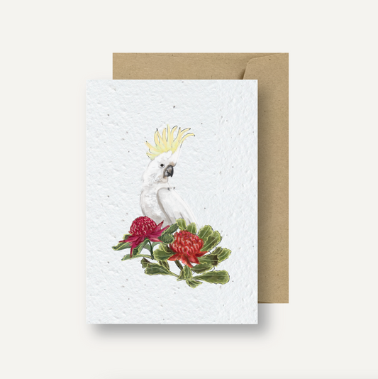 Seeded Card // Cockatoo & Warahtahs