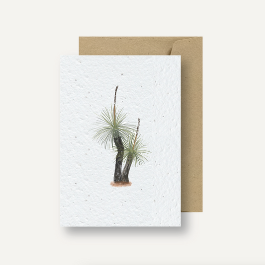 Seeded Card // Australian Grass Tree, Xanthorrhoea