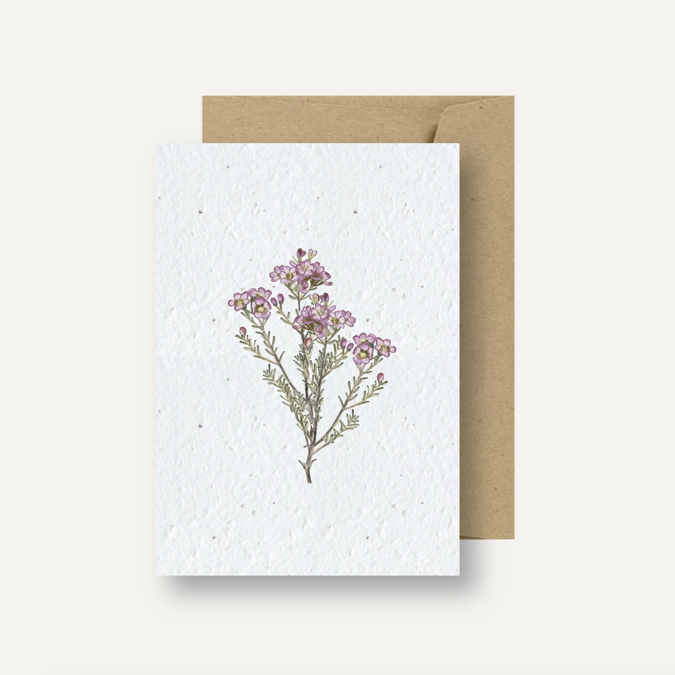 Seeded Card // Australian Wax Flowers