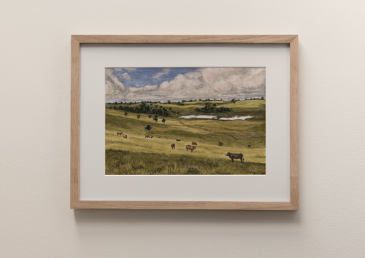Cattle Grazing - Fine Art Print