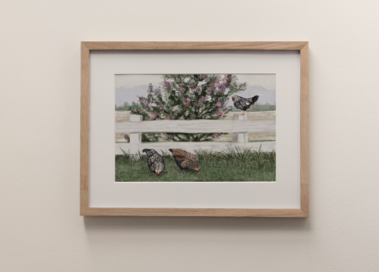 Chooks - Fine Art Print