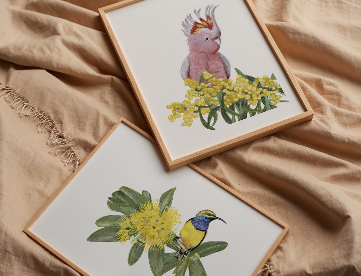 Major Mitchel Cockatoo - Fine Art Print