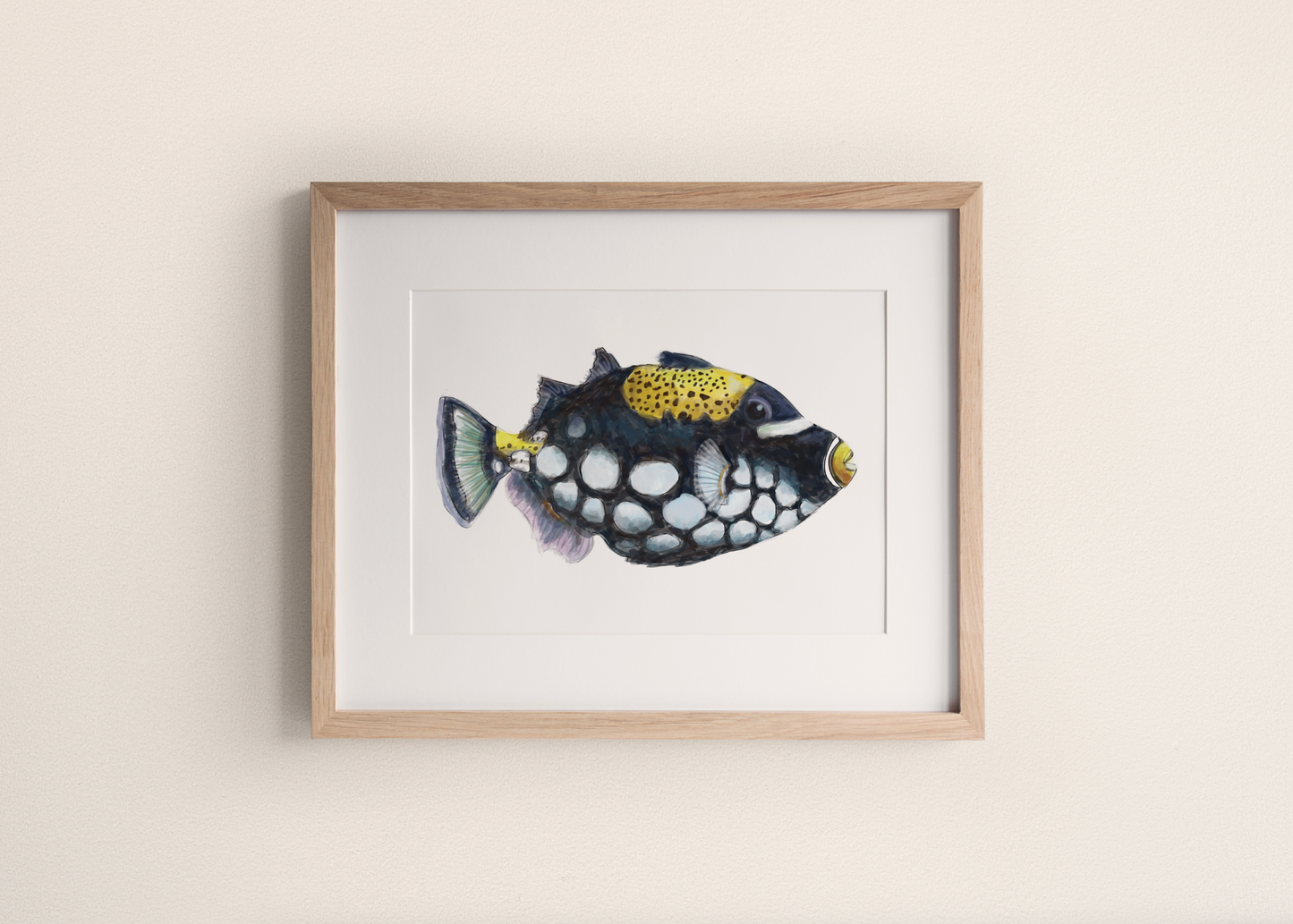One-of-a-kind // Triggerfish