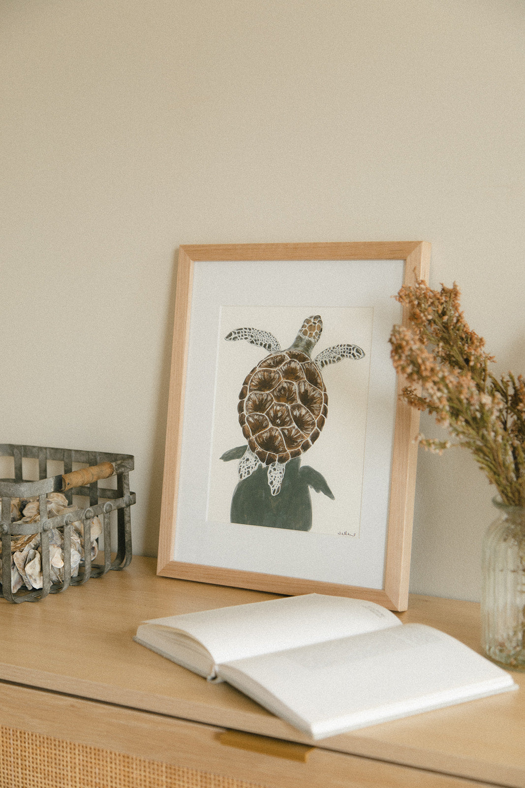 Turtle - Fine Art Print