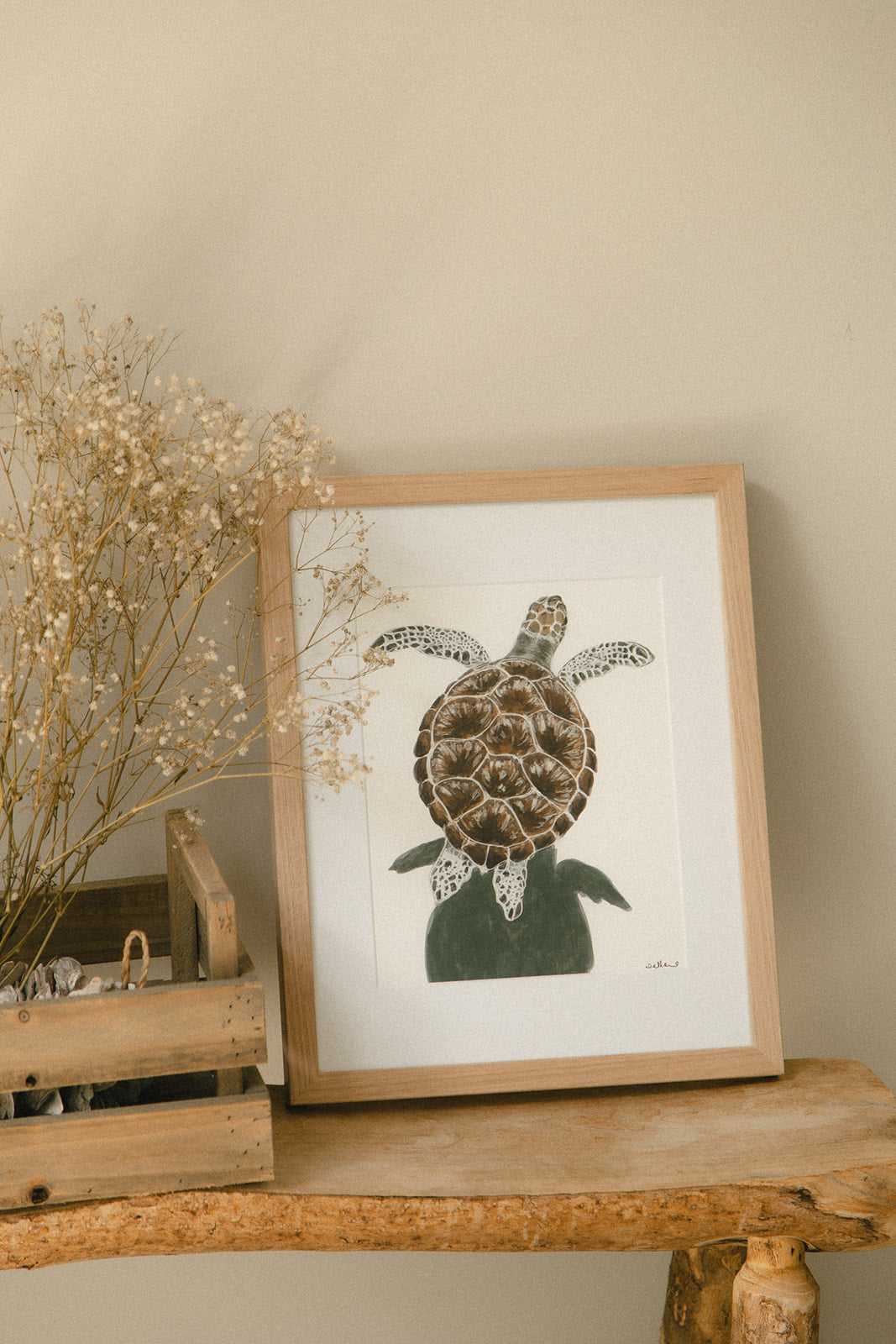 Turtle - Fine Art Print