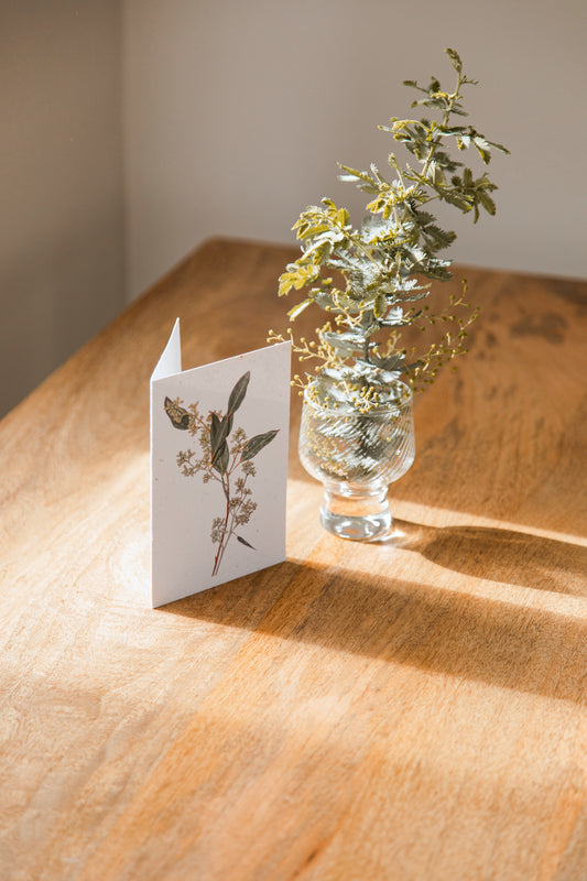 Seeded Card // Seeded Eucalyptus