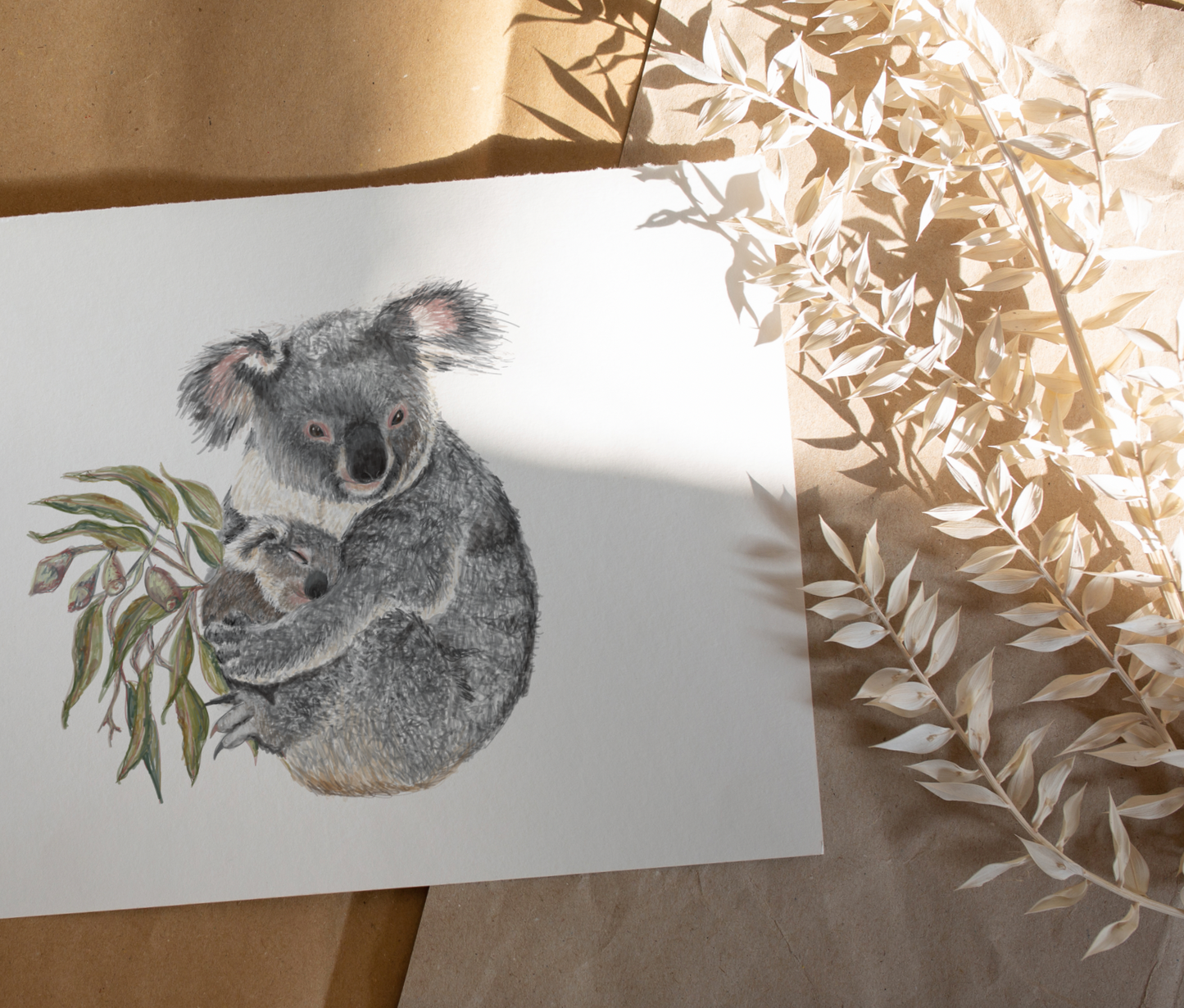 Koala - Fine Art Print