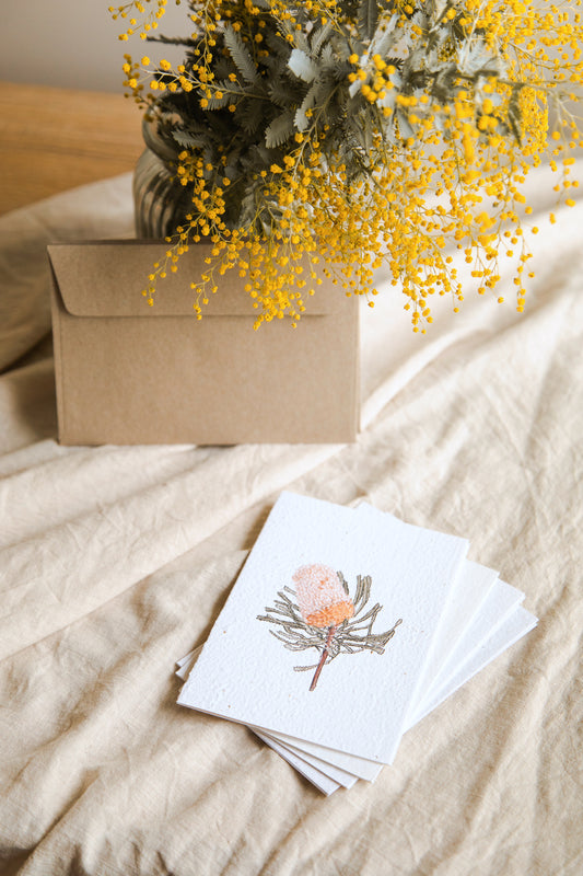 Seeded Card // Banksia Hookeriana