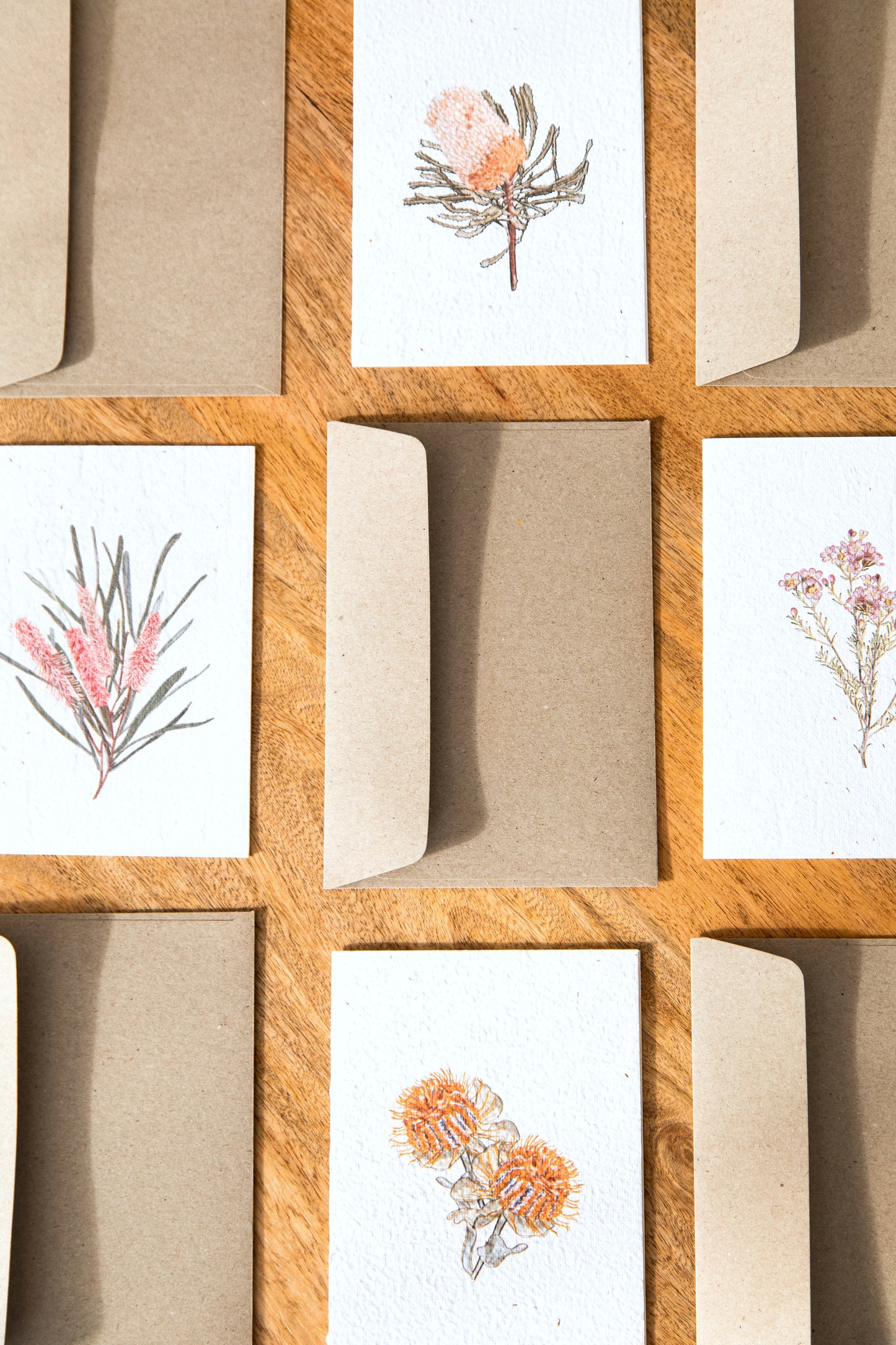 Seeded Card // Banksia Coccinea