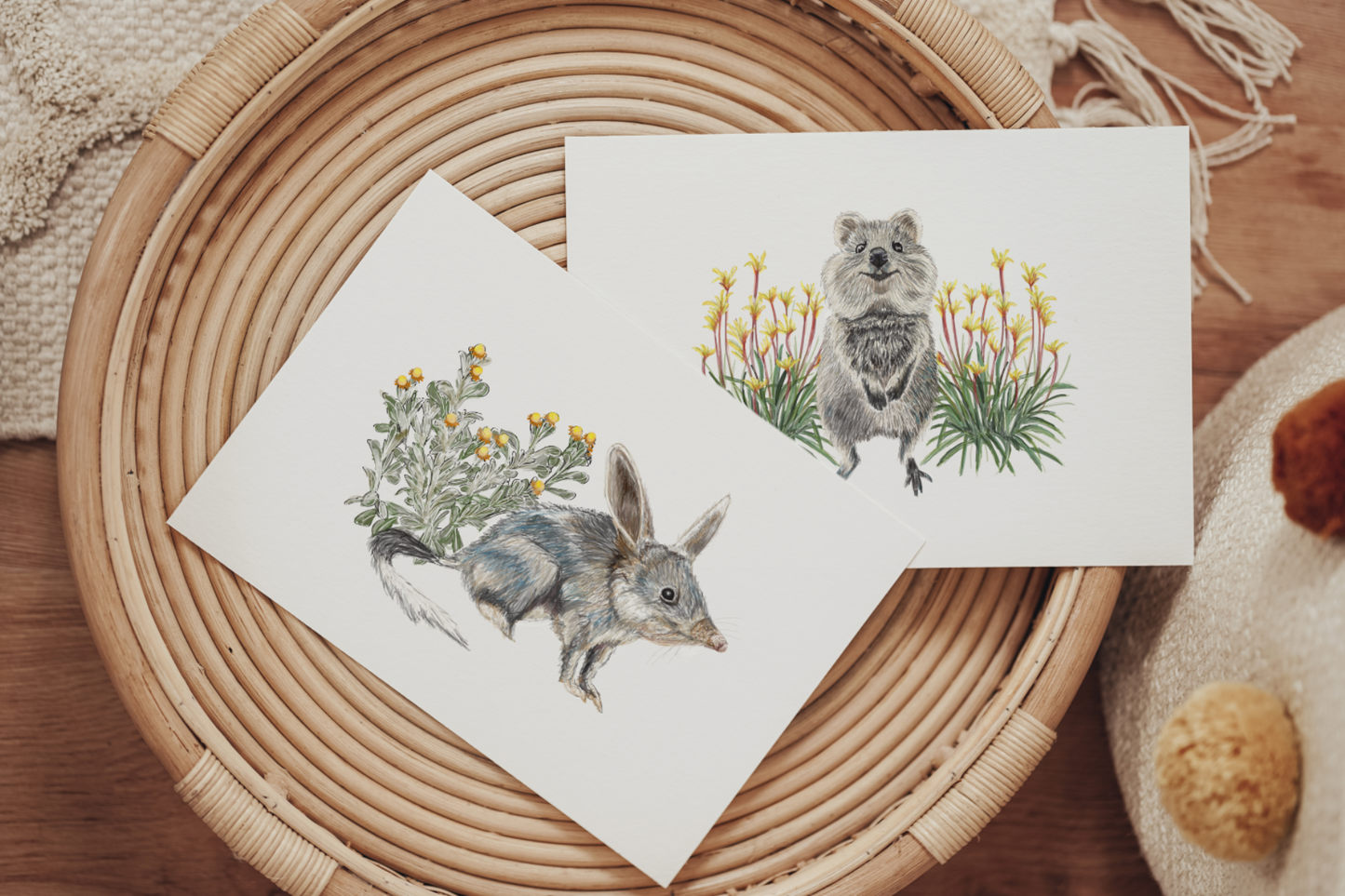 Quokka - Fine Art Print